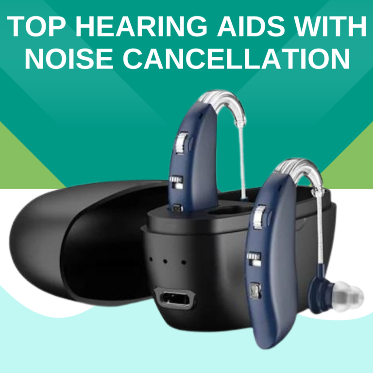 hearing aids with noise cancellation